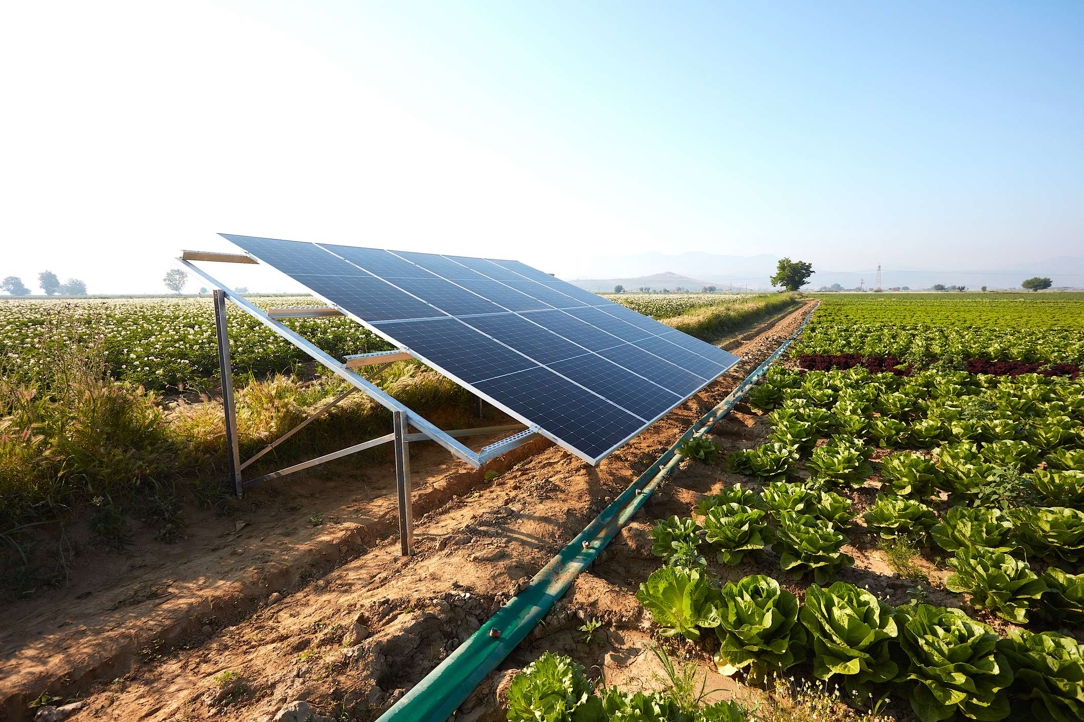 La Energ A Agrovoltaica En Pro De La Revoluci N Del Agronegocio Blog