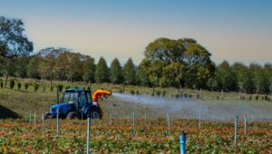 Máquina agrícola esparciendo fertilizante en un cultivo.