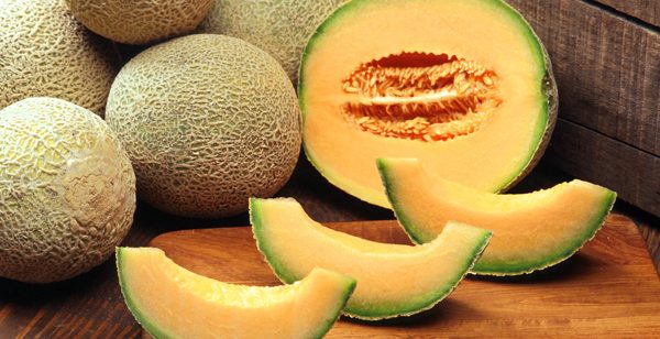 cultivo de melón