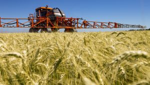 Agricultura de secano