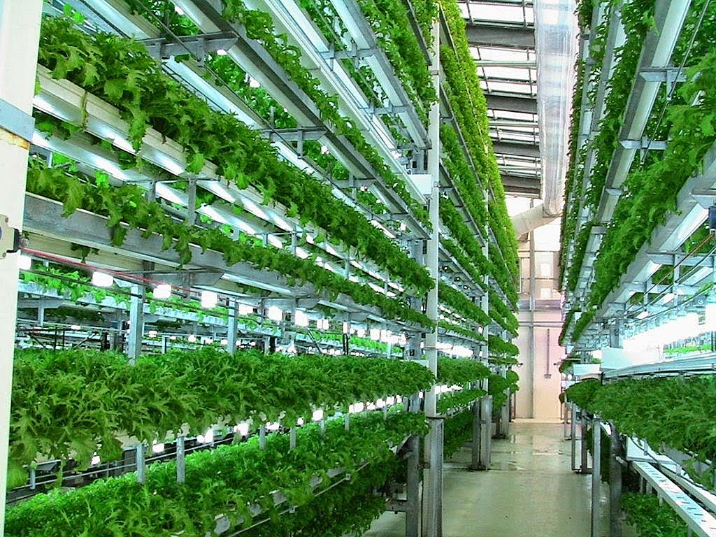 Agricultura Del Futuro: ¿en Cuáles Tecnologías Se Basará?