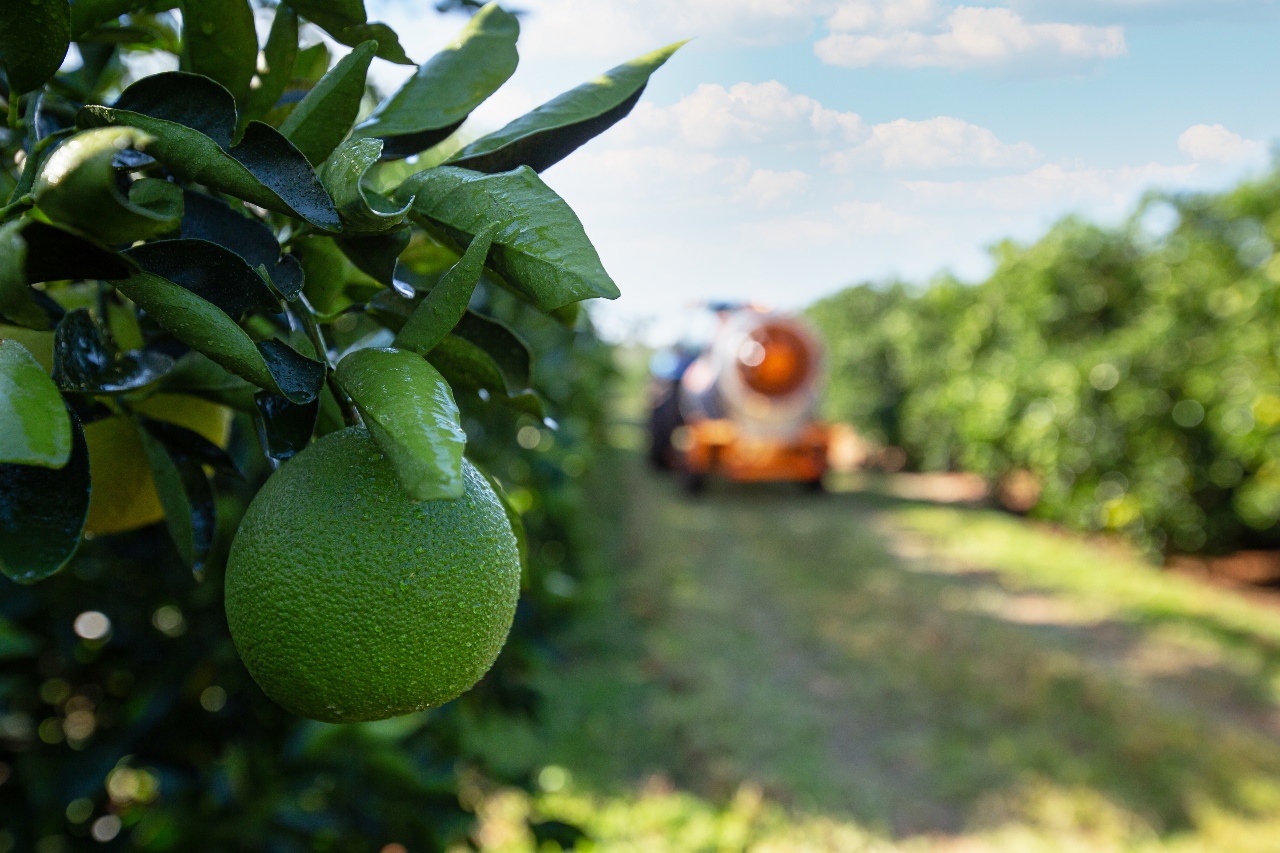 Agricultura de América del Sur: ¿Cómo está la productividad?