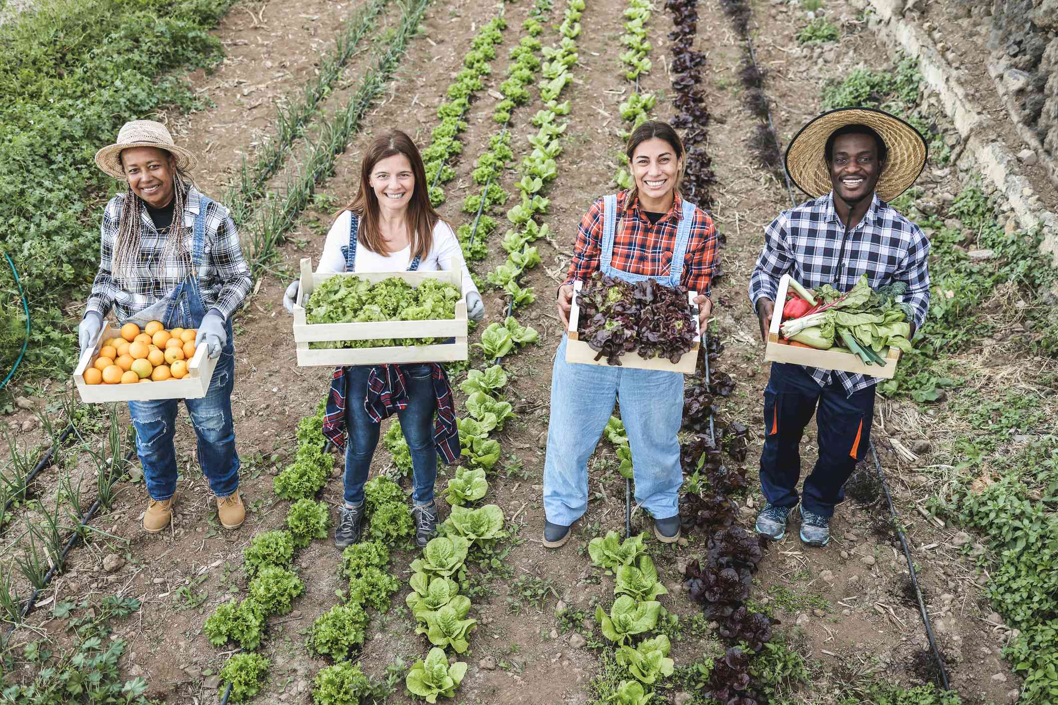 Cooperativismo agrario: ¿por qué es una tendencia? 