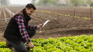 mayores productores de alimentos
