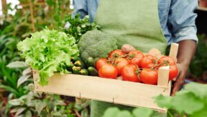cultivo de hortalizas: una imagen de verduras y verduras