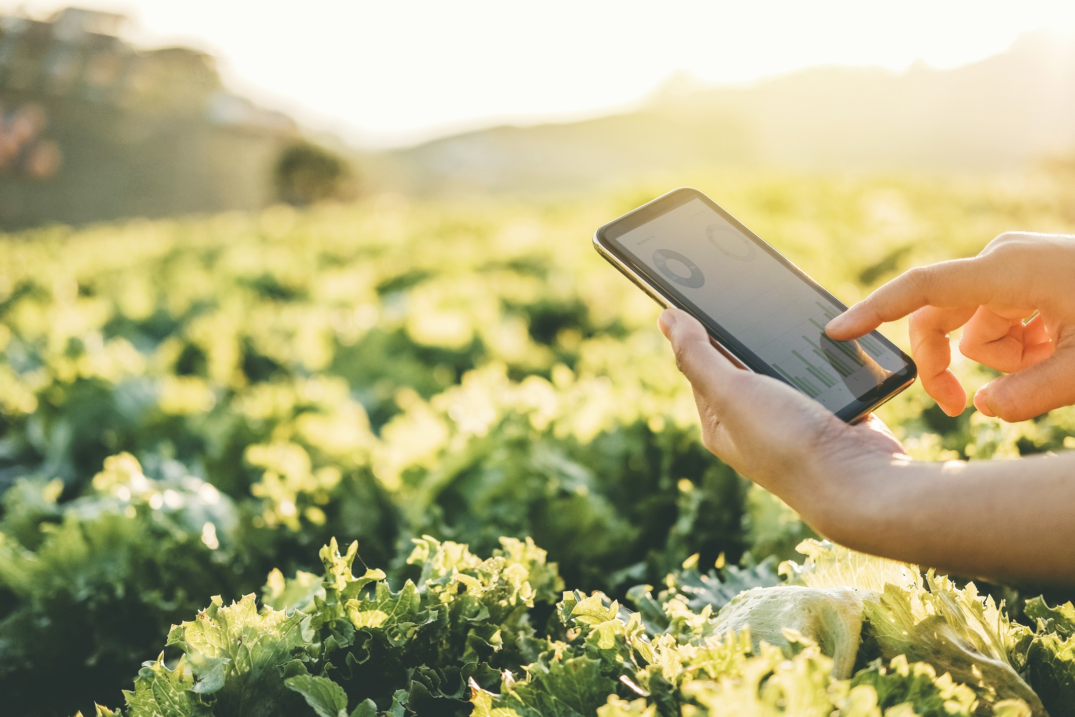 Nuevas Tecnologías Agropecuarias Cuáles Son Y Por Qué Debes Conocerlas 4206