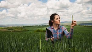 ingenieria agronomica