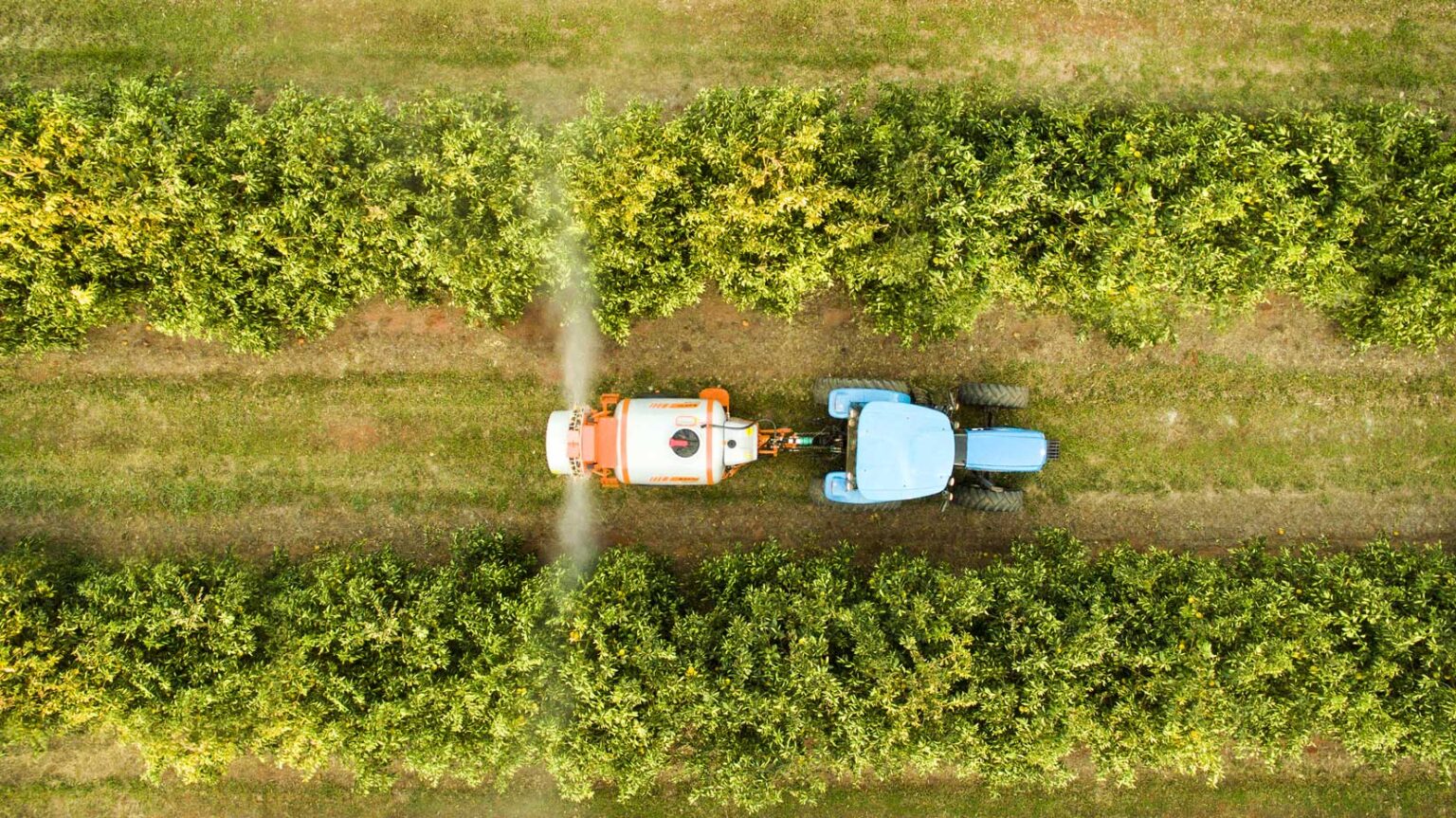 Pesticidas Definición Tipos Y Cómo Usarlos Correctamente