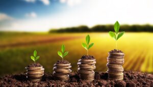 contabilidad agrícola