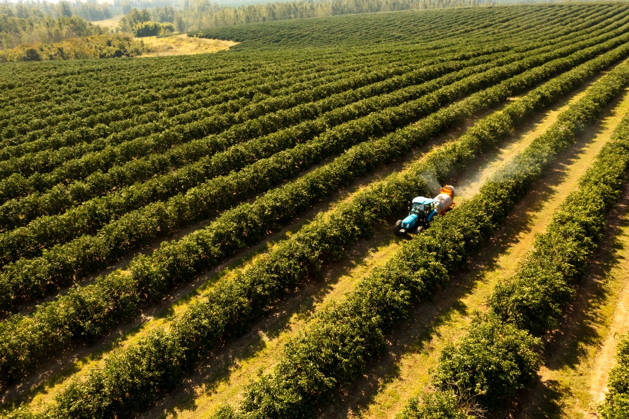 ¿Qué Es La Sustentabilidad Agrícola Y Cómo Garantizarla?