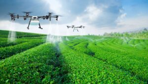 avances tecnológicos en la agricultura: espacio de produccion agricola
