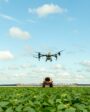 drones agricolas