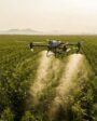 drones para fumigar