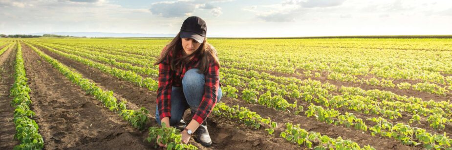 Agricultora realizando la cosecha en su tierra agrícola.