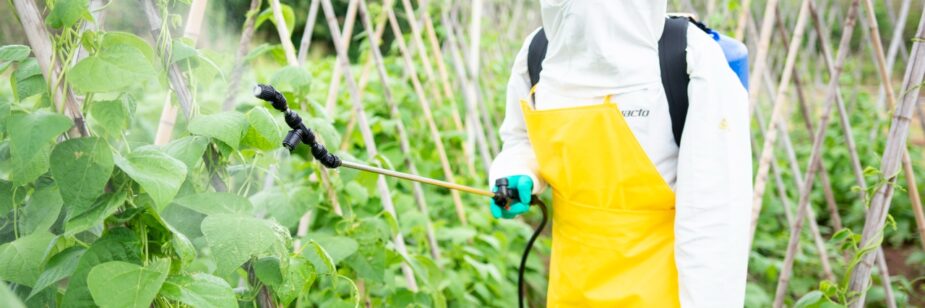 Profesional con ropa adecuada manipulando una máquina que esparce fertilizante por todo el cultivo.