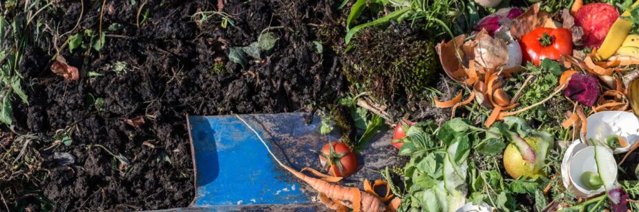 Una pala recogiendo tierra húmeda con restos de alimentos alrededor.