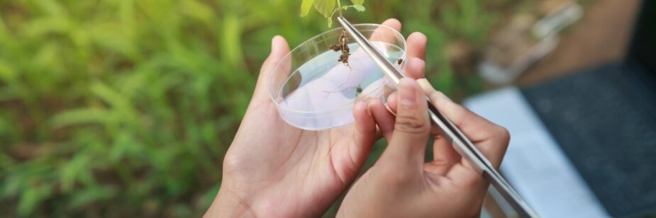 Científico recolectando una rama de planta para estudio.