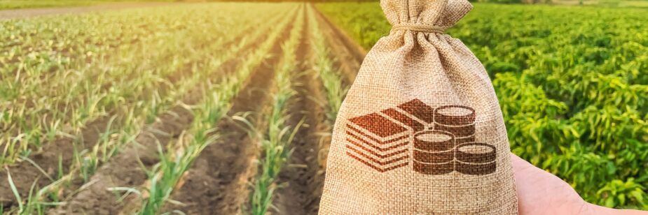 Mano masculina sosteniendo un saco de rafia con dibujos de dinero, detrás de una plantación agrícola.