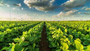 Campo de soja en América Latina con agricultura digital y modelos predictivos para enfrentar riesgos climáticos