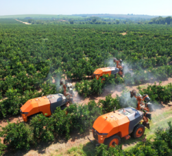 pulverización para manejo fitosanitario en cítricos en huerto de alta productividad