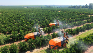 pulverización para manejo fitosanitario en cítricos en huerto de alta productividad