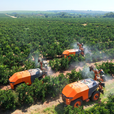 pulverización para manejo fitosanitario en cítricos en huerto de alta productividad