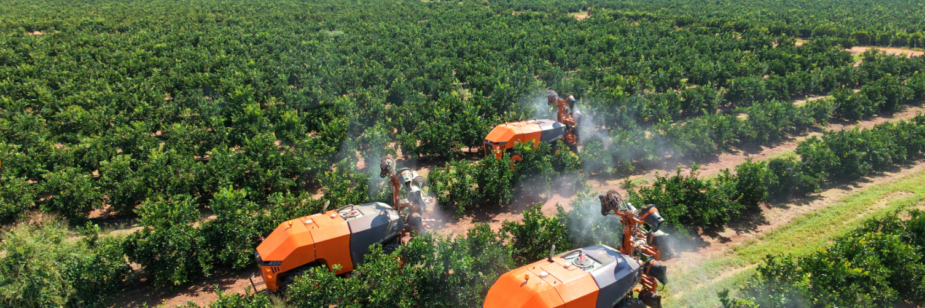 pulverización para manejo fitosanitario en cítricos en huerto de alta productividad