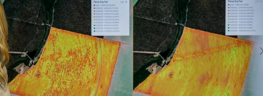 Comparación de mapas de rendimiento de la cosecha en distintas áreas de un lote agrícola