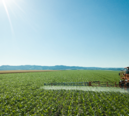 Pulverizador agrícola en el campo durante la evaluación de las condiciones para pulverizar.
